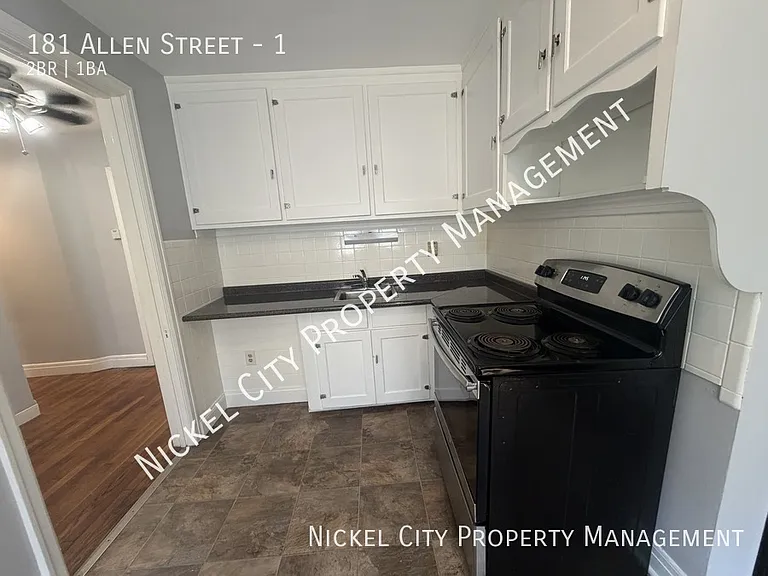 181 Allen St #1 — Photo 9