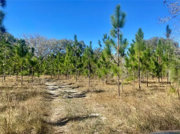 1 Unnamed, Spring Hill, FL 34610