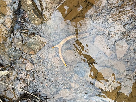 5th image of 0 Friar Point Rd