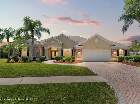 14163 Andrew Scott Rd, Spring Hill, FL 34609