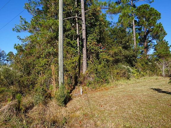 3rd image of 5204 Birchwood Pl