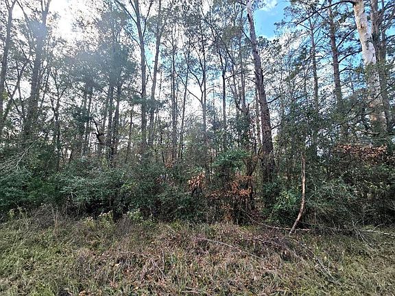 3rd image of Pid 1181 Bevil Loop