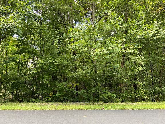 5th image of 0 Long Rifle Rd Lot 119
