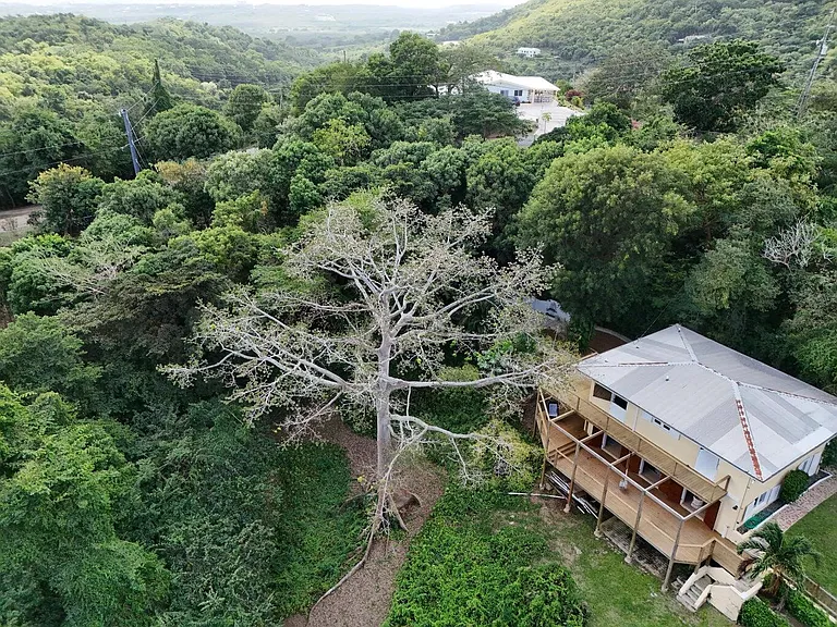 15 Betsys Jewel Ave #A — Photo 44