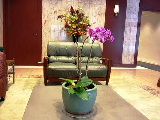 Rented by Citi Habitats | media 26