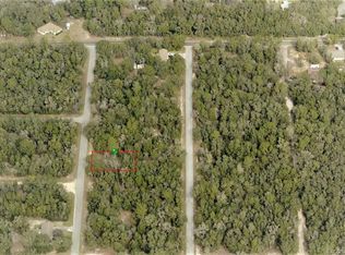 6569 N Flower Ter, Hernando, FL 34442