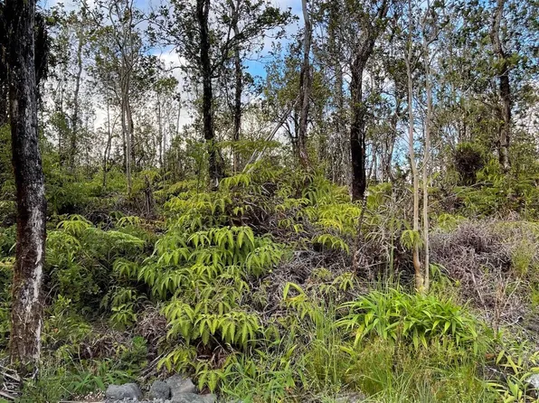 11-3116 Mokuna St Lot 1925, Volcano, HI 96785