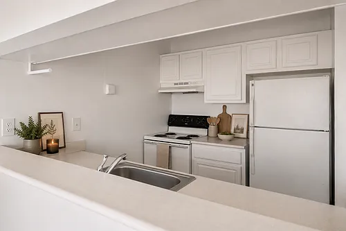 Floor plan 1 Bed 1 Bath