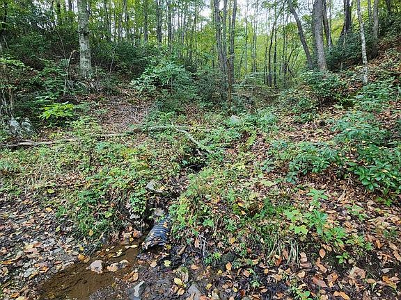 4th image of River Bottom Ln
