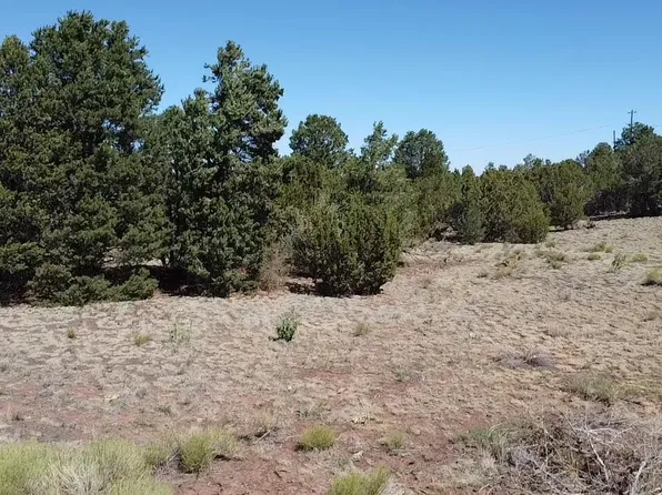 1693 W Maverick Ln, Williams, AZ 86046