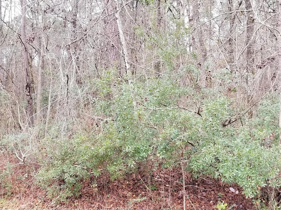 2nd image of 167 New Oak Ln