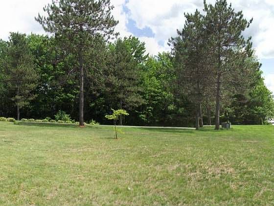 2nd image of 17 Pine Rd