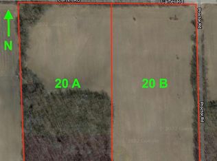 Vl Carter 40 Acres, Dansville, MI 48819