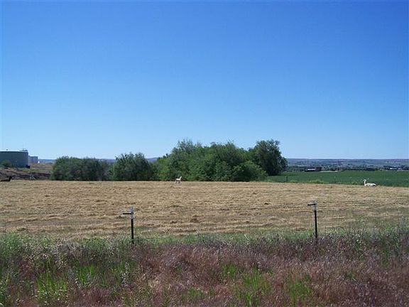 2nd image of Tbd Vacant 4 01 Acres N Of 34663 Apple Valley Rd