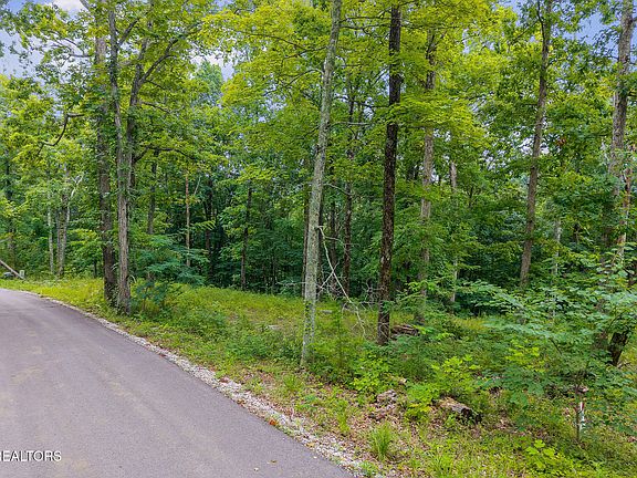 4th image of N Rock Fish Rd