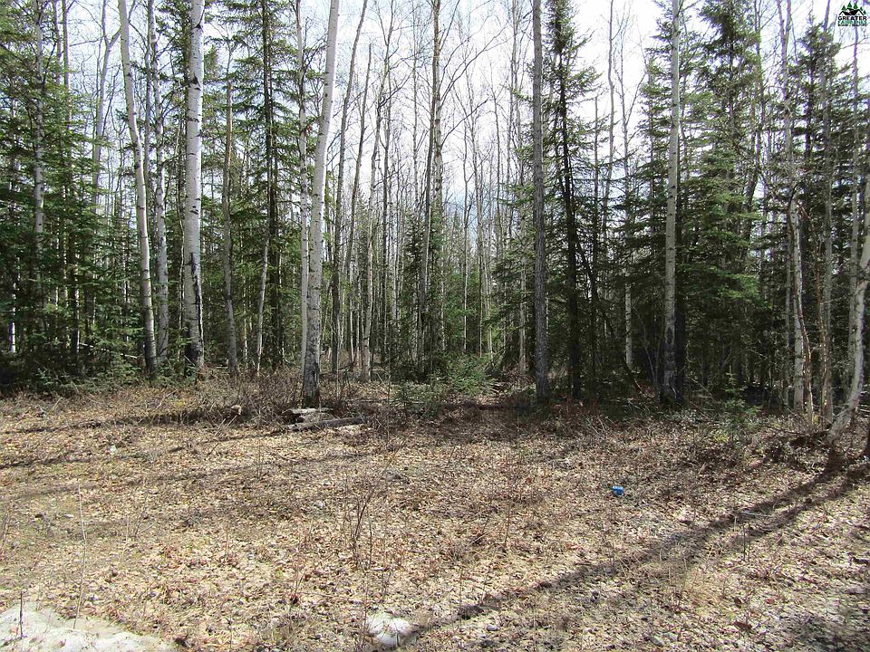 2nd image of L68 Placer Ln