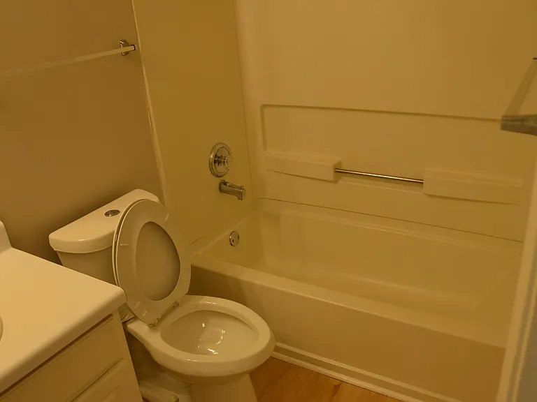 Guest Bath with Shower - tub combination