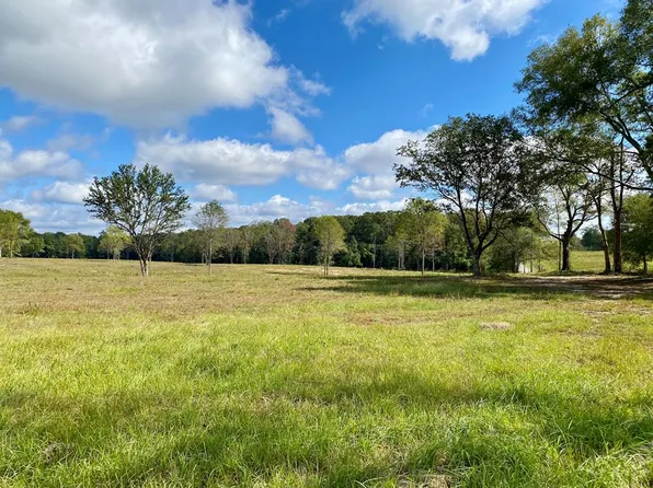 6 Carey Byrd Rd, Carriere, MS 39426