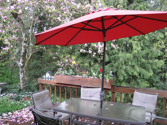 Back Deck