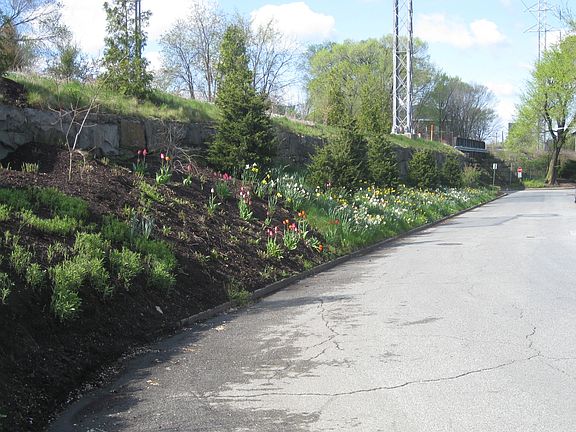 The 9/11 memorial garden along Scott st