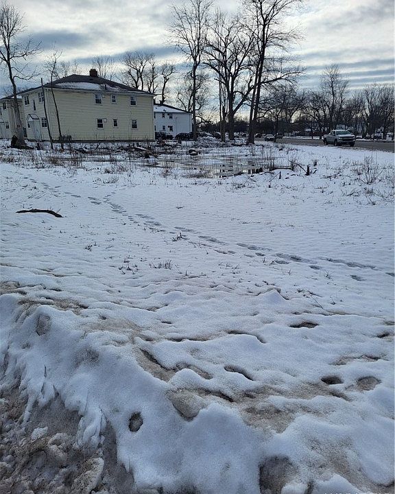 2nd image of 450 Ivyhurst Rd N