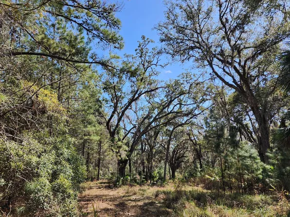 1012 Star Trce, Saint Simons Island, GA 31522