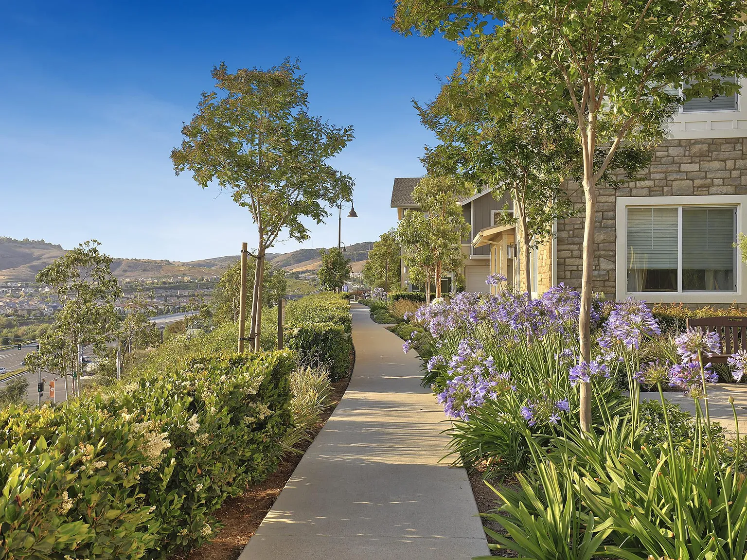Sendero Gateway Apartment Homes — Photo 4