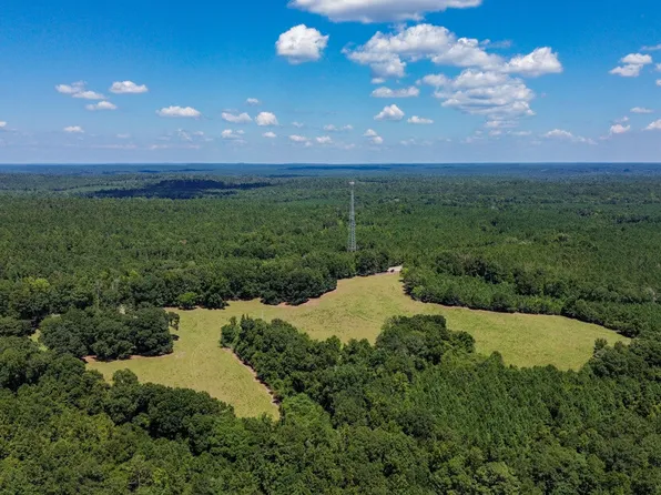 0 Highway 10 E, Pine Apple, AL 36768