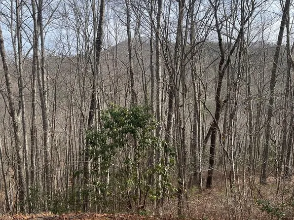 LOT 62 Musket Rd, Almond, NC 28702
