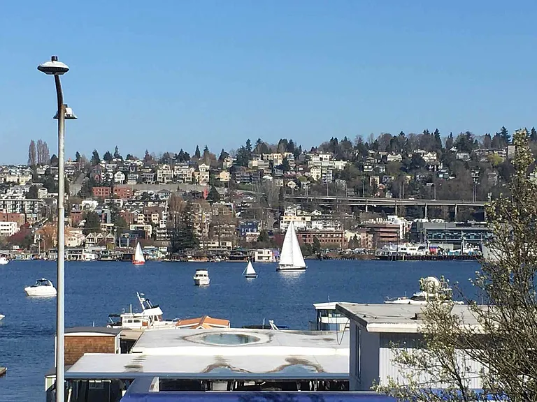 View from the deck