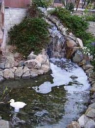 3rd image of 334 Las Flores Dr