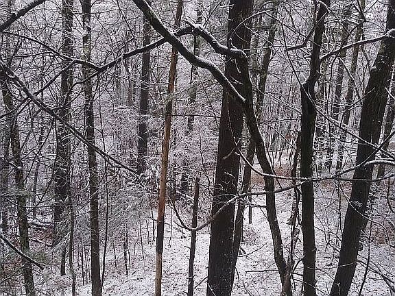 Beautiful in the snow