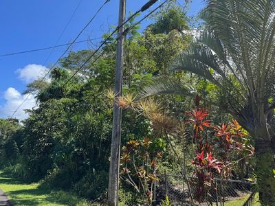 Ono St Lot 1512, Pahoa, HI, 96778