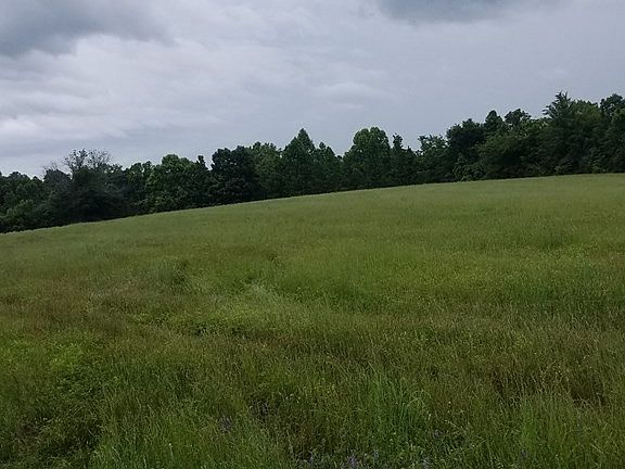 2nd image of 1000 County Road 660