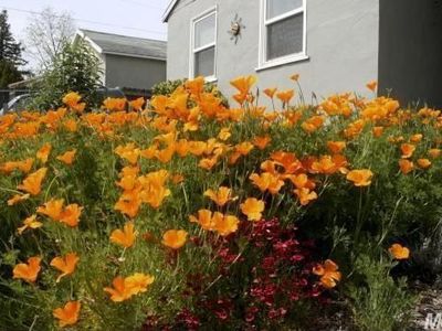 3709 7th Ave, Sacramento, CA, 95817