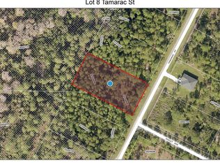 LOT 8 Tamarac St LOT 8, Eustis, FL 32736