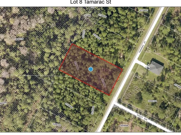 LOT 8 Tamarac St Lot 8, Eustis, FL 32736