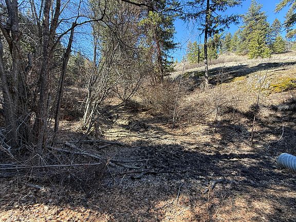 3rd image of Coogan Creek Rd