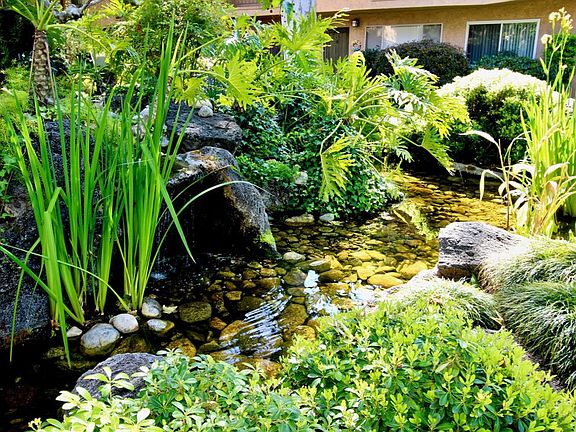Courtyard water feature