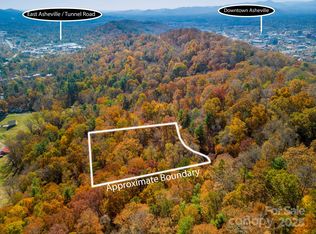 0 Vance Gap Rd, Asheville, NC 28804
