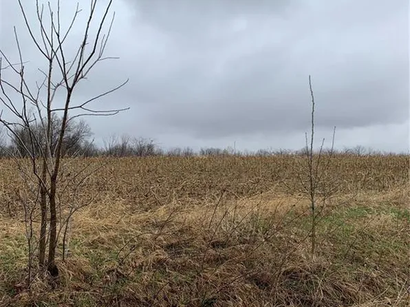 34 Lela Ln, Hannibal, MO 63401