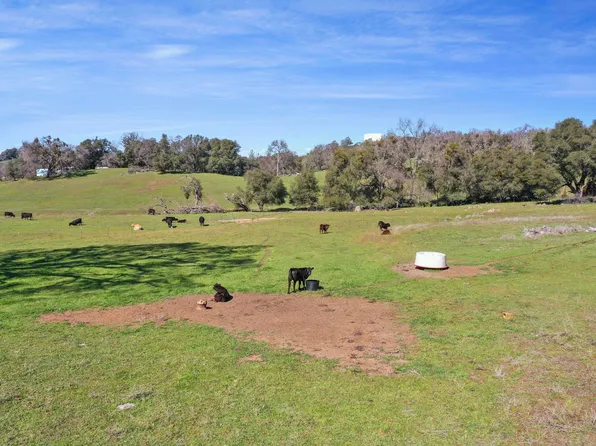 1229 W Murray Creek Rd, San Andreas, CA 95249