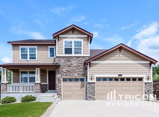 781 Dublin Pl, Castle Rock, CO 80104