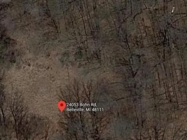 24053 Bohn Rd, Belleville, MI 48111