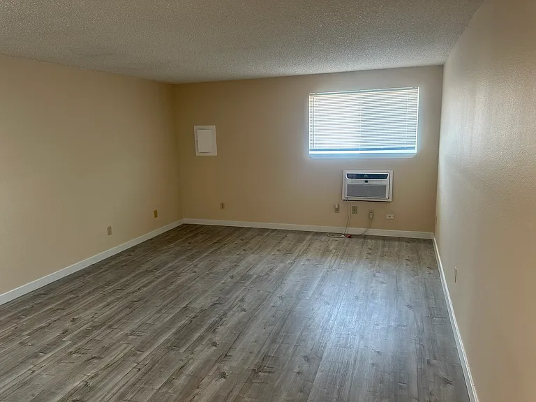 1520 W Clark St #D — Photo 5