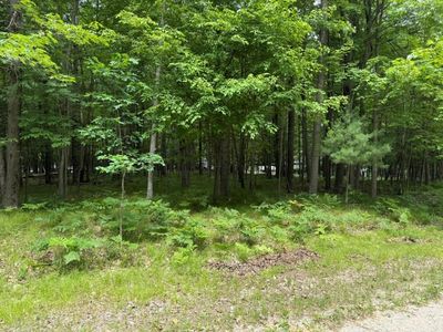 6823 Beechnut Rdg, Stanwood, MI, 49346