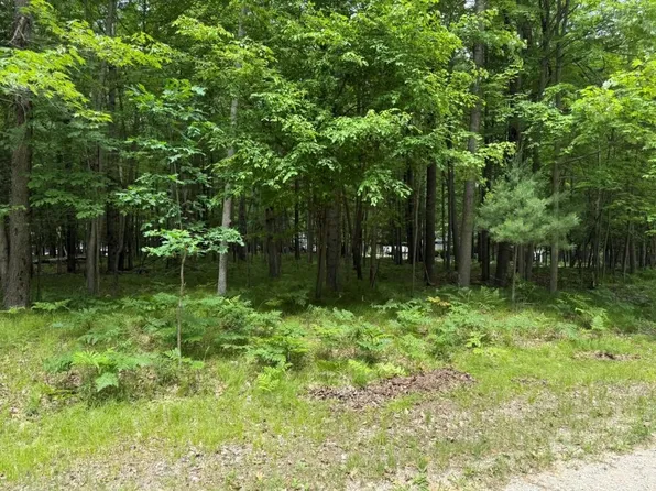 6823 Beechnut Rdg, Stanwood, MI 49346