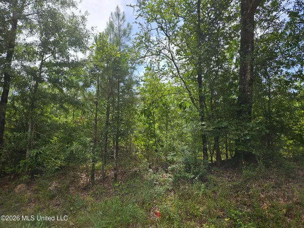 Log Cabin Rd NW, Roxie, MS 39661