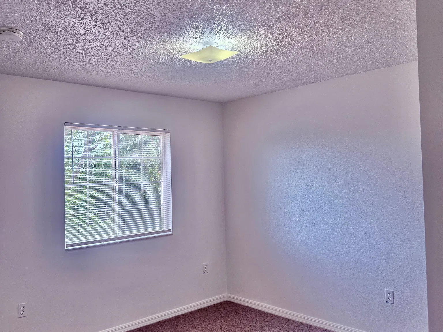 727 James Court - 1 — Photo 3