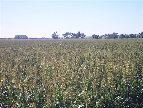 1st image of 14030 County Road 28